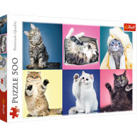 Puzzle 500 kom KITTENS 37377