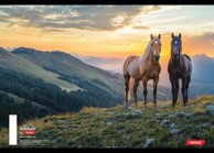 TARGET Bilježnica Animal, A4, kvadratići, 54 lista, meki uvez