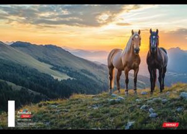 TARGET Bilježnica Animal, A4, kvadratići, 54 lista, meki uvez