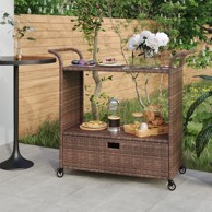 Barska kolica s ladicom, 100 x 45 x 97 cm, poliratan, crna