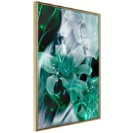 Poster Poisonous Flowers 40x60