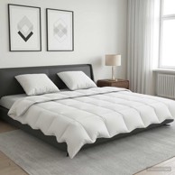 Ljetni set popluna i jastuka FULDA s 90% guščjeg paperja 240 x 260 cm, 100 g/m², 3 kom.