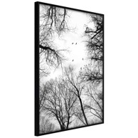 Poster Treetops 40x60