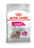 ROYAL CANIN CCN Mini Exigent, za odrasle i starije pse malih pasmina (od 1 do 10 kg) - Stariji od 10 mjeseci - Mali izbirljivi psi, 3 kg
