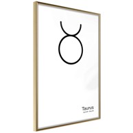 Poster Zodiac: Taurus II 40x60