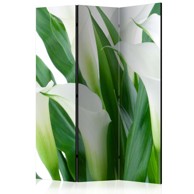 Sobna pregrada u 3 dijela bunch of flowers - callas 135x172