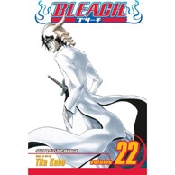 Bleach vol. 22