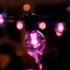 PHILIPS HUE Vanjska svjetlosna girlanda Festavia Globe 7 m