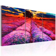 Slika Land of Colours 120x60