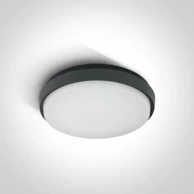 Plafonjera, LED, 30W, 2500 lm, 3000 K, 230V, IP54, DM67363/AN/W, antracit