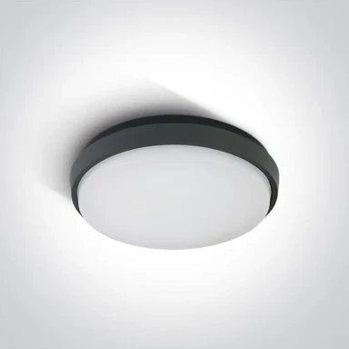 Plafonjera, LED, 30W, 2500 lm, 3000 K, 230V, IP54, DM67363/AN/W, antracit