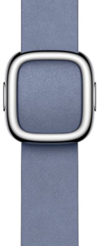APPLE Remen Modern Buckle 41mm, L, plava