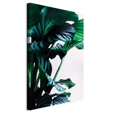 Slika Springy Leaves, jednodijelna, okomita, 40x60 cm