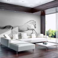 Foto tapeta White gallop 350x270