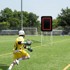 VEVOR Lacrosse rebounder sklopivi, crni