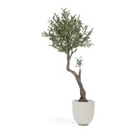 KAVE HOME Umjetno drvo masline Olive, visina 140 cm
