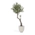 KAVE HOME Umjetno drvo masline Olive, visina 140 cm