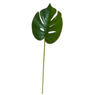 Rezano cvijeće Grana monstera 53 cm, tamno zelena