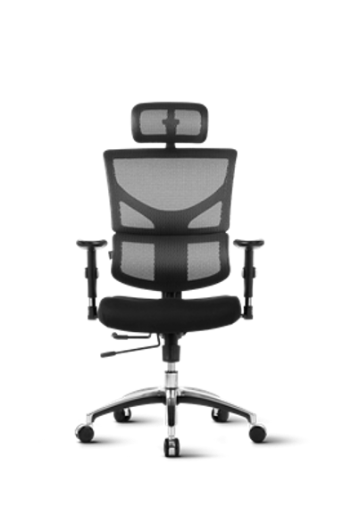 ERGOVISION Ergonomska uredska stolica Smart Basic, crna