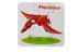 Edukativne puzzle, engleski dinosauri