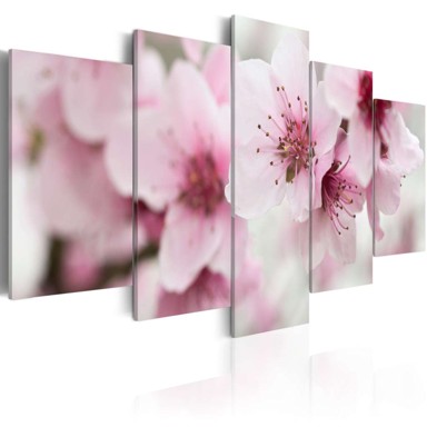 Slika Cherry- gentleness and beauty 200x100