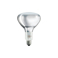 PHILIPS Reflektorska žarulja sa žarnom niti, E27, 150 W