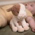 LITTLE DUTCH Plišana igračka Cuddle cow 17 cm, bijela  