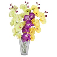 Rezano cvijeće Grana orhideja 70 cm GFS013567