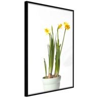 Poster Piece of Nature IV 20x30