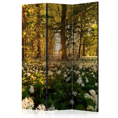 Sobna pregrada u 3 dijela Forest flora 135x172