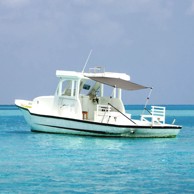 Set nastavka za brodsko sjenilo s vrhom T-oblika, 170x170x(113-182,5) cm