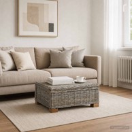 GENDT Stolić za kavu 67 x 60 x 30 cm, kubu sivi ratan