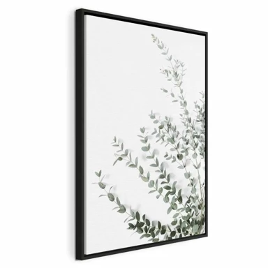 Slika Eucalyptus Parvifolia, jednodijelna, okomita, 60x90 cm