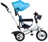 ECOTOYS Dječji tricikl, plavi