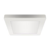 LED Stropna svjetiljka Olga, D, 18W, bijela
