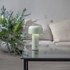 STAR TRADING Zelena LED stolna lampa (visina 21,5 cm) Bobby 