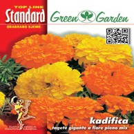 LACUNA Sjeme cvijeća kadifica visoka PIENO MIX