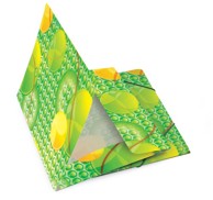 Mapa s klapnom i gumicom Fresh A4