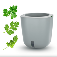 SMART GARDEN Aurelia Classic “Detox” set