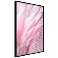Poster Pink Feathers 40x60