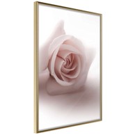 Poster Subtle Flower 20x30