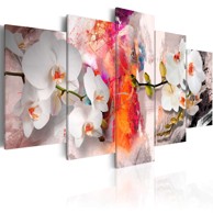 Slika Colorful background and orchids 200x100