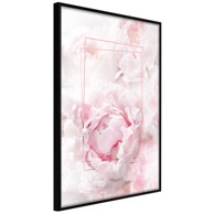 Poster Floral Dreams 40x60