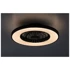 RABALUX Stropni ventilator Dalfon2 71334