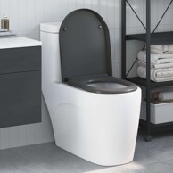 WC daska brzo otpuštanje, duroplast, antracit