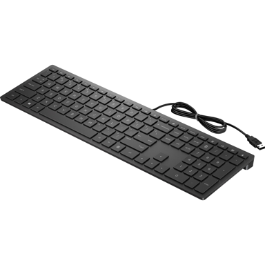 HP Tipkovnica Pavilion Wired Keyboard 300, uredska, USB, crna