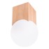 NICE LAMPS Stropna svjetiljka u prirodnoj boji sa staklenim sjenilom 12x12 cm Rayer