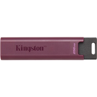 KINGSTON USB Stick DataTraveler, 256GB, USB3.2