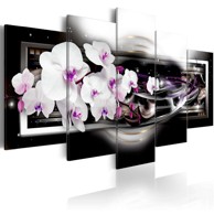 Slika Orchids on a black background 100x50