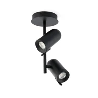 Plafonska lampa Orleans FR43533, 2L, crna
